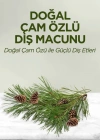 Doğal Diş Macunu 90 Gr Çam Özlü