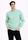 Erkek Bisiklet Yaka Triko Kazak yumuşak dokulu Pamuklu ince Dokuma, uzun kollu Rahat Regular kalıp - Mint Yeşili