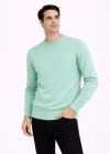 Erkek Bisiklet Yaka Triko Kazak yumuşak dokulu Pamuklu ince Dokuma, uzun kollu Rahat Regular kalıp - Mint Yeşili