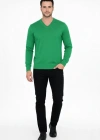 Erkek V Yaka Triko Kazak yumuşak dokulu Pamuklu ince Dokuma, uzun kollu Rahat Regular kalıp - Çimen Yeşili