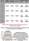 Füme Bisiklet Yaka Basic Sweatshirt MG1559