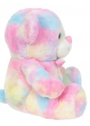 Gökkuşağı Renkli Peluş Ayı 45 cm