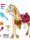 HXJ42  ve Dansçı Atı -  Mysteries: The Great Horse Chase