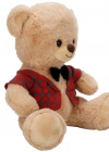 Kıyafetli Peluş Ayı 32 cm
