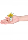 MN800010 - MN800000 NessiWorld Brands - Botanik Bahçe 77559