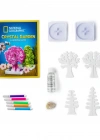 NAT00002 Kristal Bahçe Kiti - TRCRYSGRDN +8 yaş