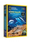 NAT07002 Köpek Balığı Bulma Kiti - TRHAMSHDIG +6 yaş