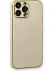 Newface iPhone 13 Pro Kılıf Coco Deri Silikon Kapak - Gold