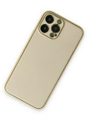 Newface iPhone 13 Pro Kılıf Coco Deri Silikon Kapak - Gold
