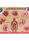ONY-287 288 Ahşap Tutmalı Vücumuzu Tanıyalım -