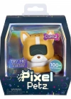 Petz Corgi Dijital Evcil Hayvanını
