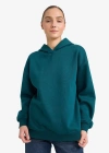 Relax Fit Kapüşonlu Basic Düz Kalın Sweatshirt D9935AX25WN