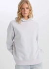Relax Fit Kapüşonlu Kalın Basic Düz Sweatshirt D9935AX24WN