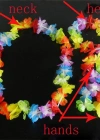 Rengarenk Hawaii Kolye Taç Bileklik Seti 4 Parça