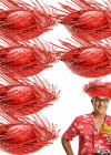 Tropikal Parti Kırmızı Hasır Hawaii Şapkası 13x36 cm