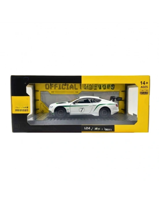 1/24 GT3 Model Araba
