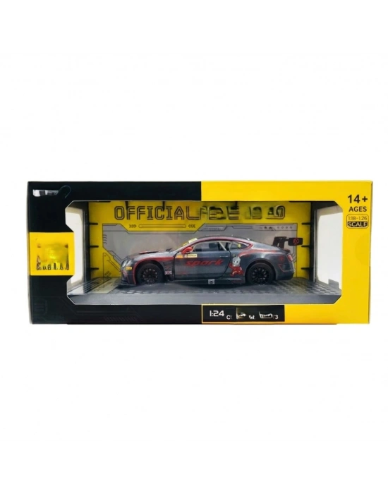 1/24 GT3 Silver Grey Model Araba