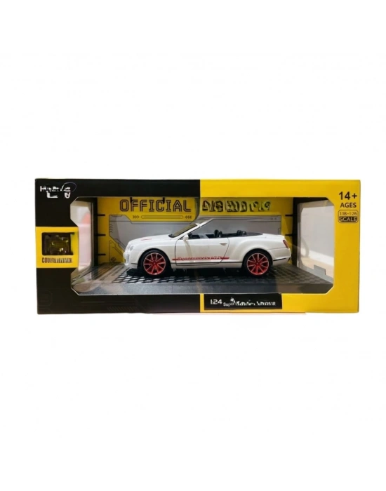 1/24 Model Araba
