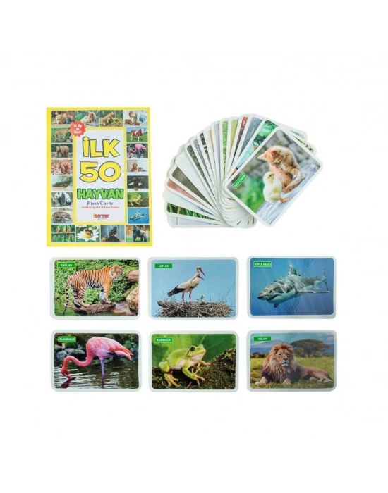 1352FlashCardsİlk50Hayvan-Dıytoy