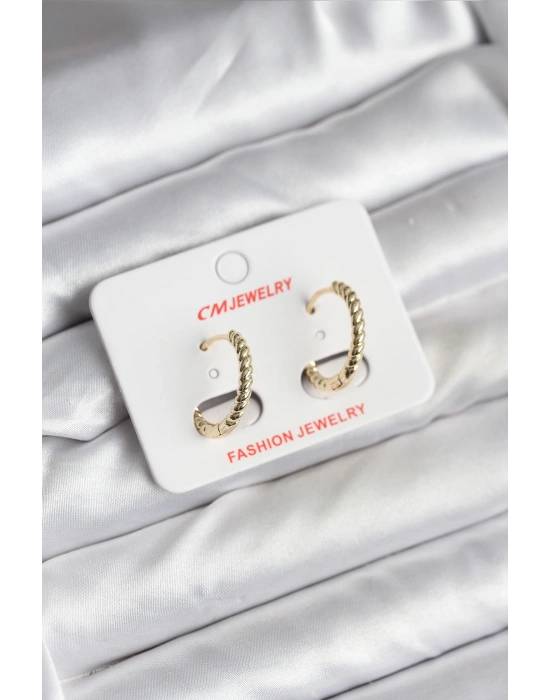 14K Gold Renk Kaplama Burgu Halka CM Kadın Küpe