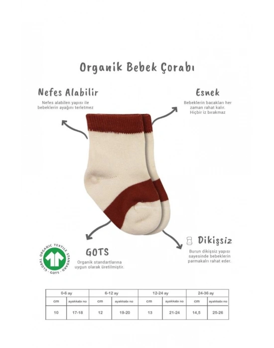 3Lü Penye Rainbow Soket Çorap BS10113 Kiremit