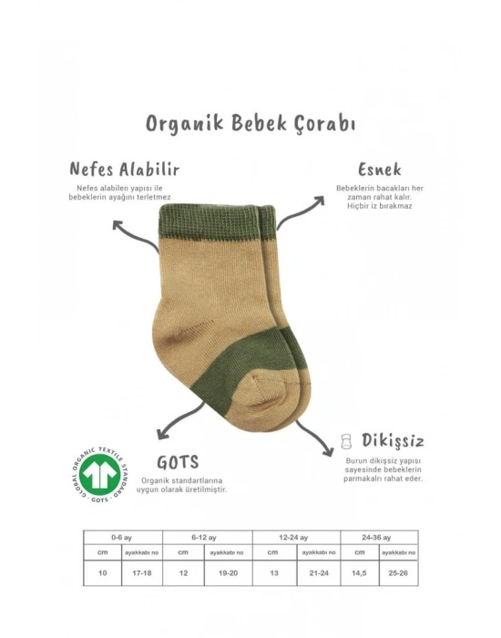 3Lü Penye Rainbow Soket Çorap BS10113 Nil