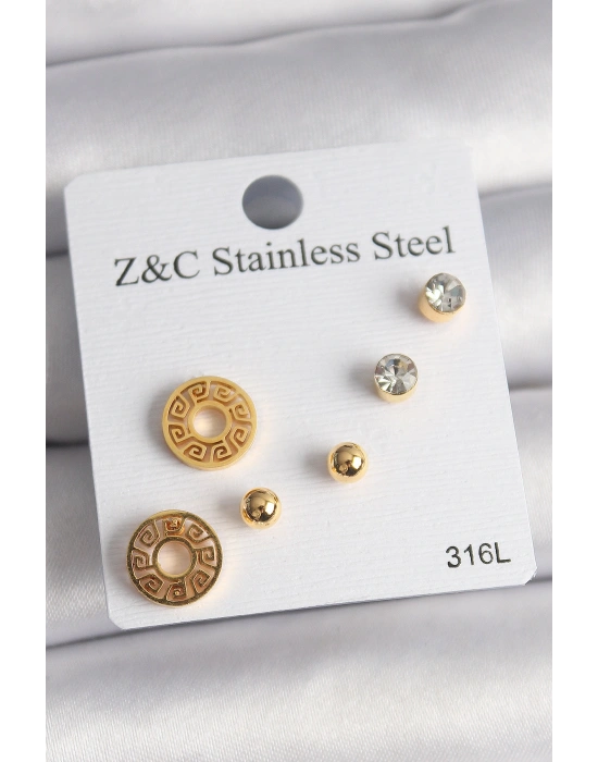 316L Çelik Gold Renk Zirkon Taşı Labirent Model Kadın Küpe Seti