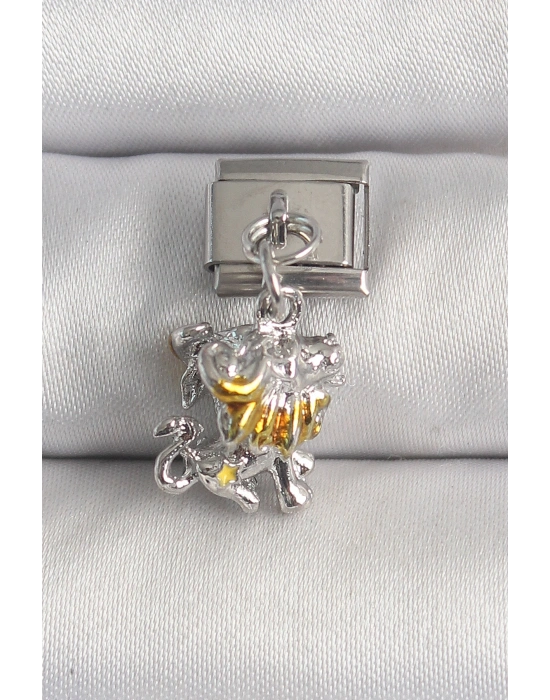 316L Çelik Gümüş Renk Sallantı Aslan Model Nomination Charm