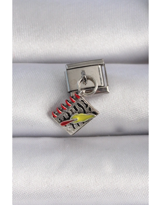 316L Çelik Gümüş Renk Sallantı Defter Figür Nomination Charm