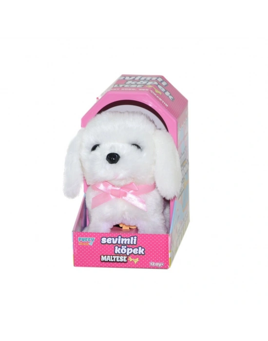 47100 Sevimli Köpek Maltese -
