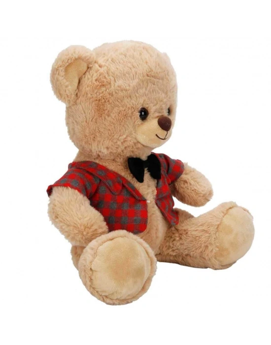 4810 PELUŞ AYI ELBİSELİ 32CM 2A