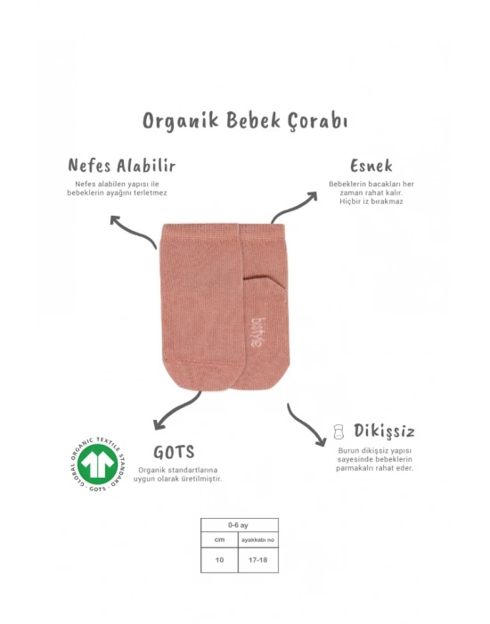 5li Penye Soket Kutulu Basic Çorap 10131 Pudra