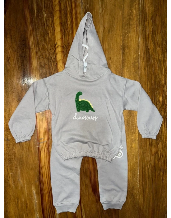 6-24 aylık araba baskılı takım gri