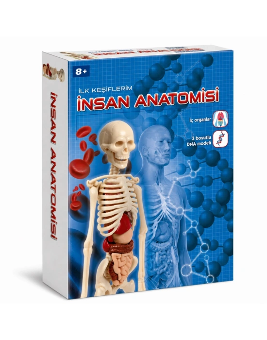 64297 İnsan Anatomisi - Bilim ve Oyun +8 yaş