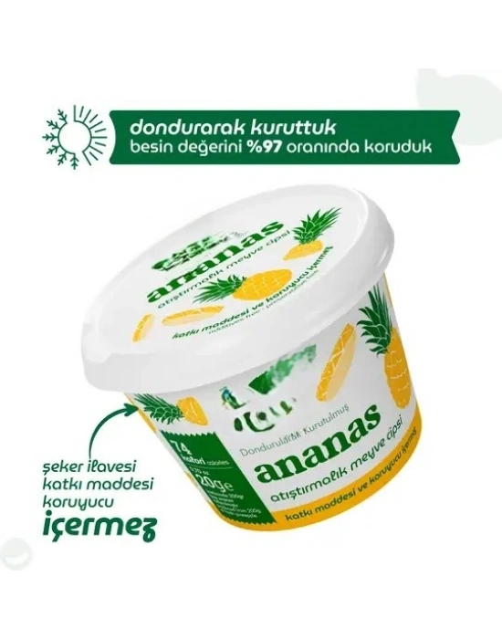Ananas Atıştırmalık Meyve Cipsi 20gr