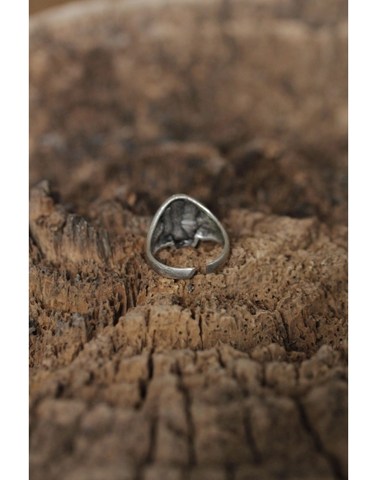 Ayarlanabilir Motifli Kuru Kafa Tasarımlı Erkek Yüzük