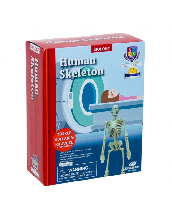 Bilim Seti : İnsan İskeleti