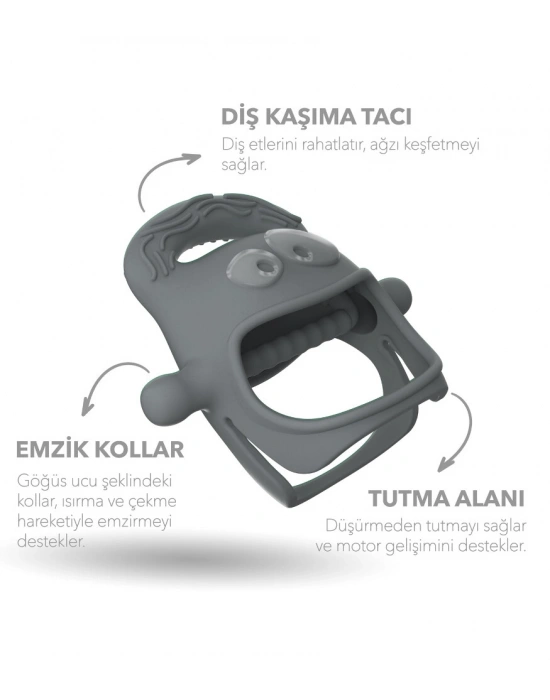 Diş Kaşıyıcı Gri