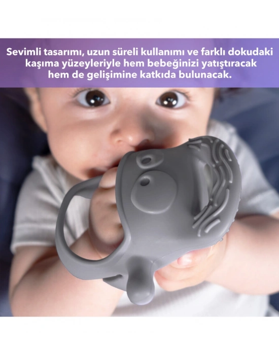 Diş Kaşıyıcı Gri