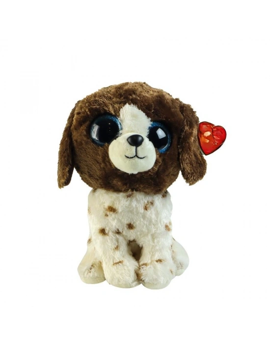 DOG BROWN WHİTE REG
