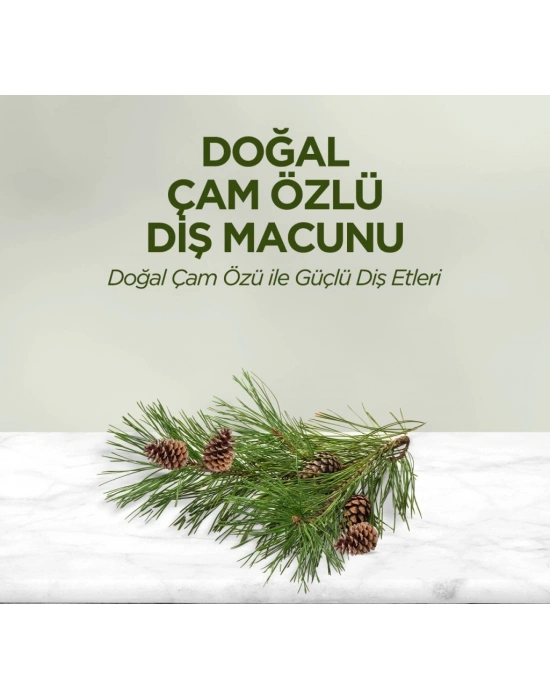 Doğal Diş Macunu 90 Gr Çam Özlü