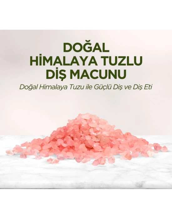 Doğal Diş Macunu 90 Gr Himalaya Tuzlu