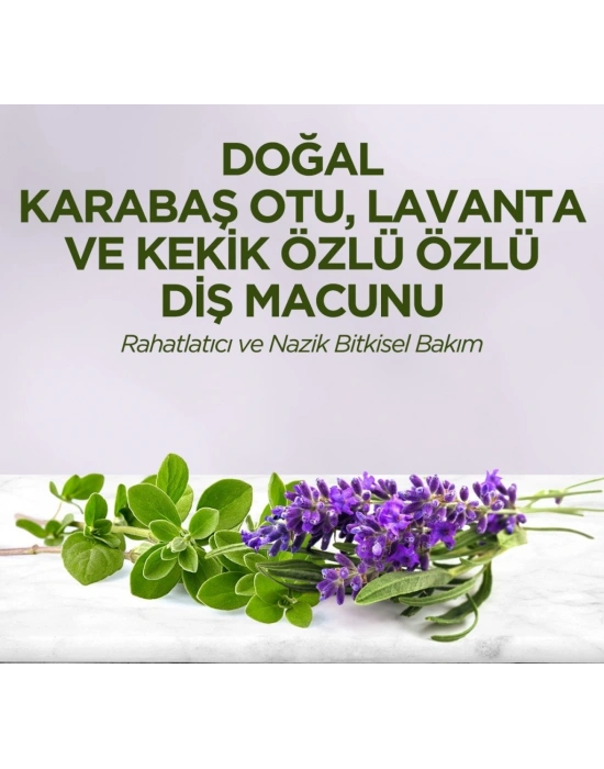Doğal Diş Macunu 90 Gr Karabaş Otu & Lavanta ve Kekik Özlü