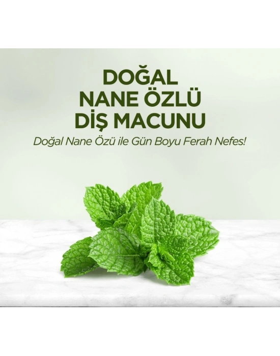 Doğal Diş Macunu 90 Gr Nane Özlü