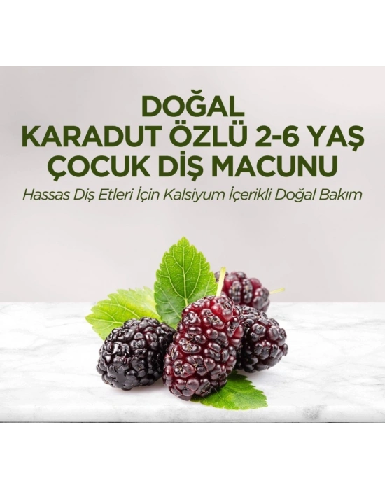 Doğal Karadut Özlü Diş Macunu 2-6 Yaş 60 ml
