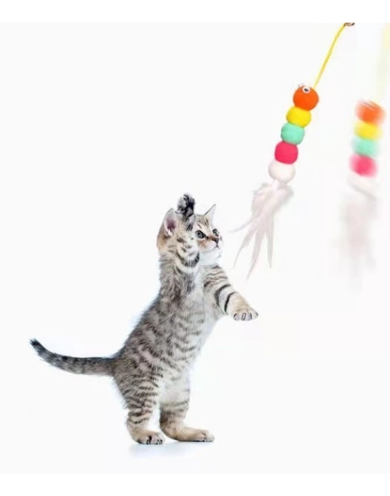 Elastik Kendinden Yapışkanlı Solucan Kedi Oltası