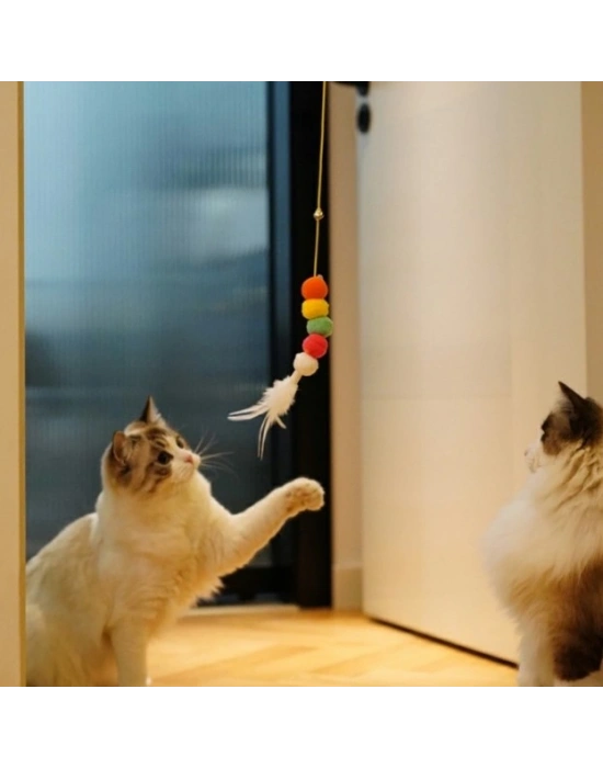 Elastik Kendinden Yapışkanlı Solucan Kedi Oltası