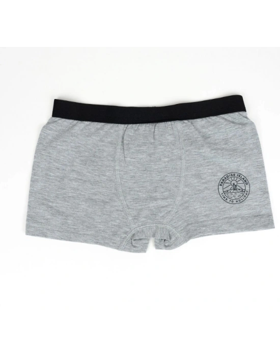 Erkek 2li Boxer Set K128997 (tek adet fiyatıdır)