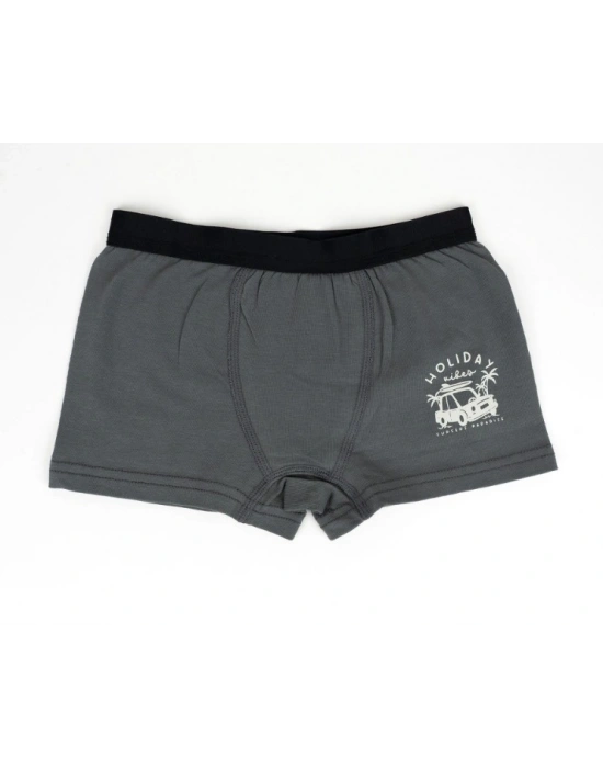 Erkek 2li Boxer Set K128997 (tek adet fiyatıdır)