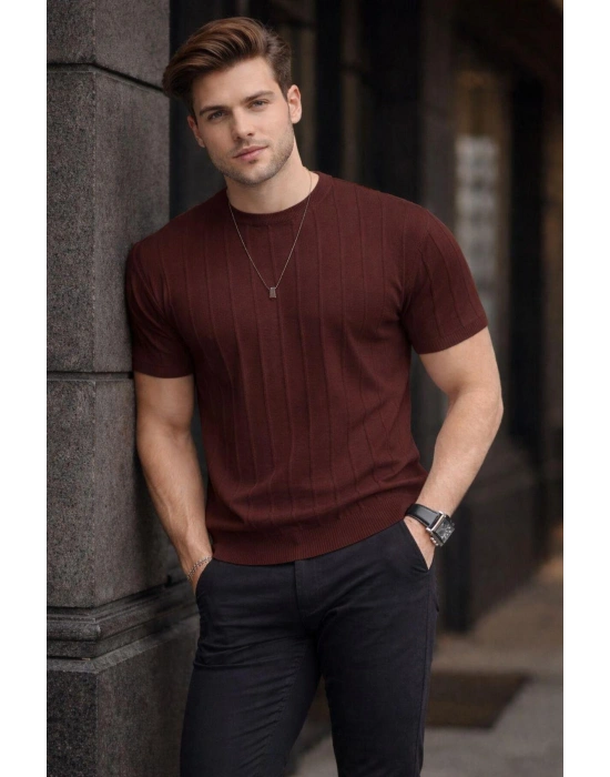 Erkek Bisiklet Yaka Dikine Çizgi Detaylı Yazlık Kısa Kollu Triko Tişört / Kahverengi